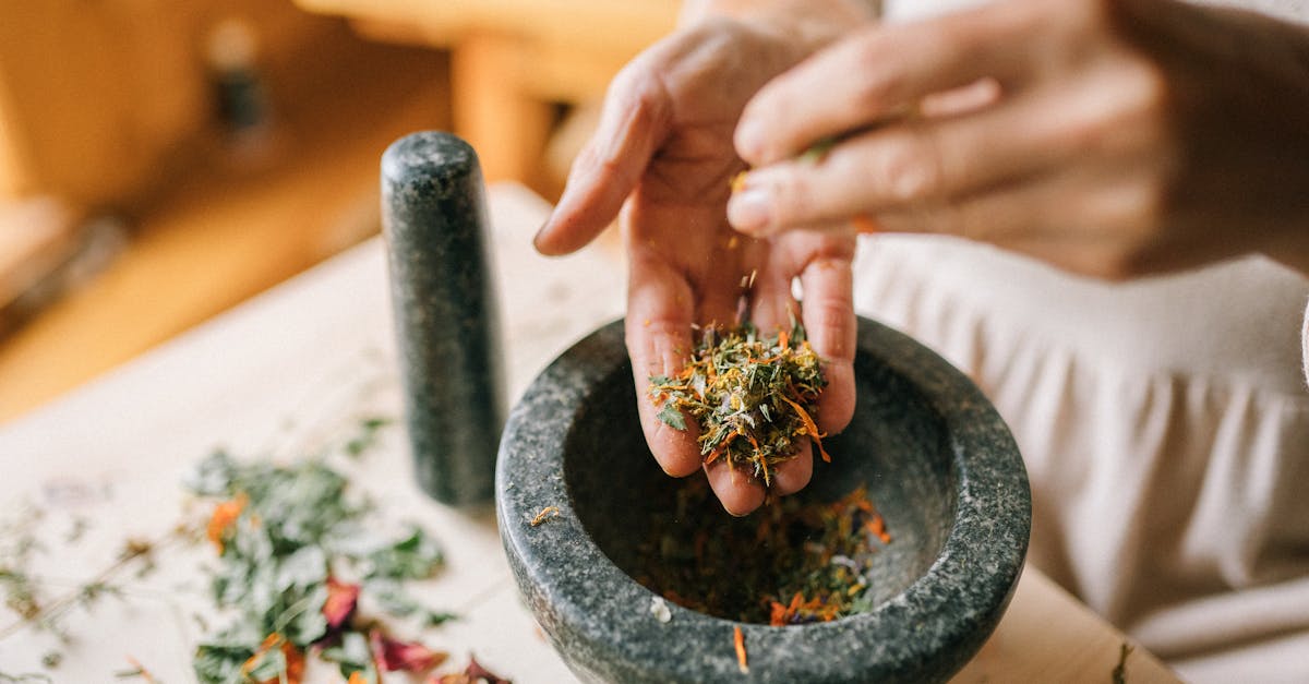 discover the power of natural remedies for healing and wellness. explore herbal solutions, holistic practices, and time-tested techniques to enhance your health naturally.