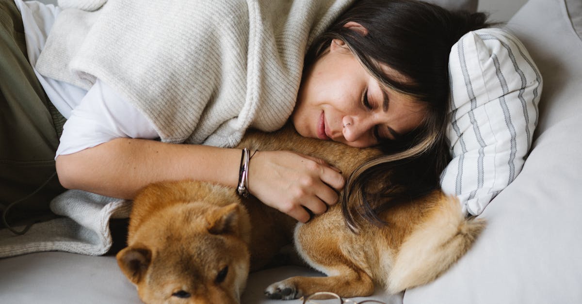 découvrez les meilleures positions de sommeil pour un sommeil réparateur. découvrez comment différentes postures peuvent avoir un impact sur votre santé et votre bien-être, et trouvez des conseils pour améliorer la qualité de votre sommeil.