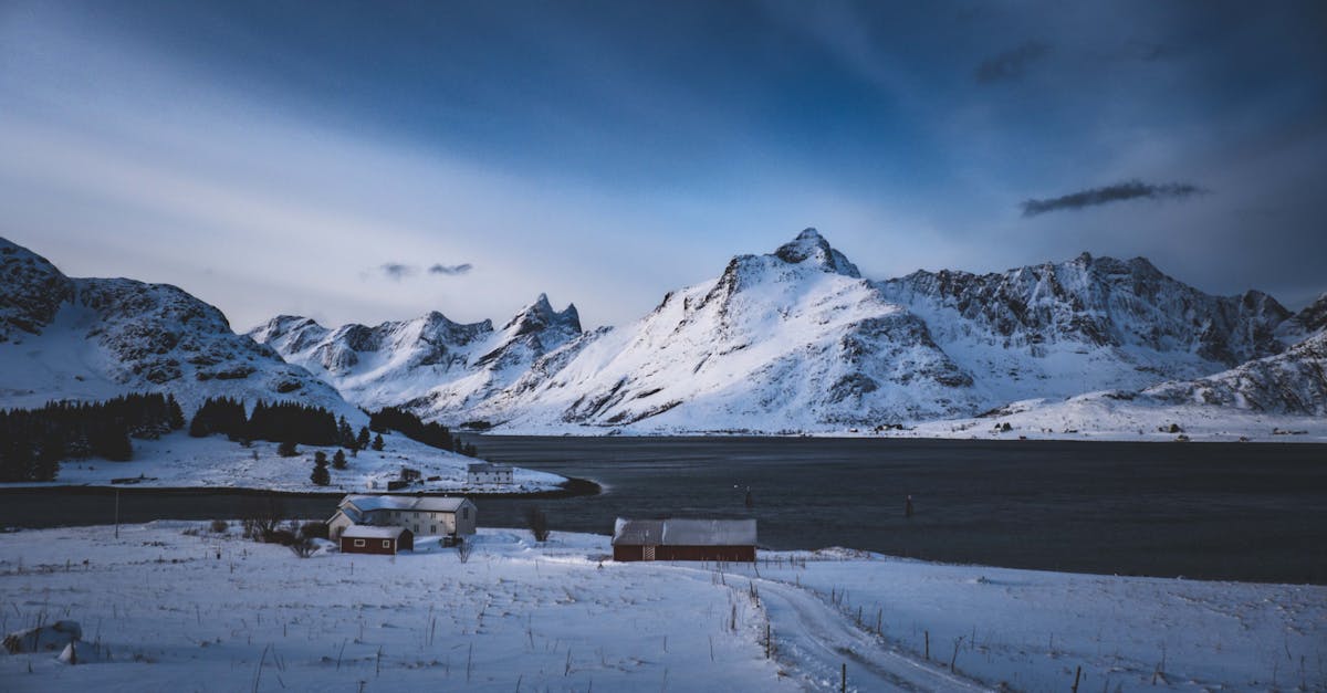 discover effective strategies for understanding and managing frozen shoulder, a condition that leads to pain and stiffness in the shoulder joint. learn about causes, symptoms, and treatment options to regain mobility and improve quality of life.