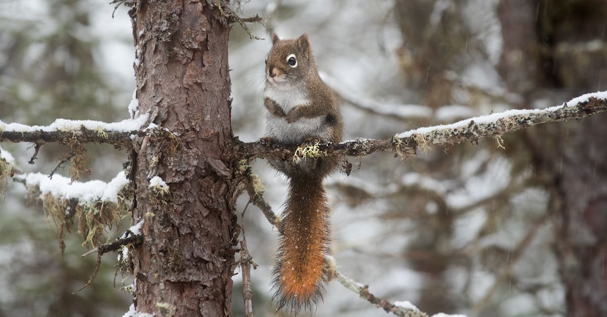 discover effective treatments and expert advice for frozen shoulder, a condition that causes pain and stiffness in the shoulder joint. learn about symptoms, causes, and ways to relieve discomfort to regain your mobility and improve your quality of life.