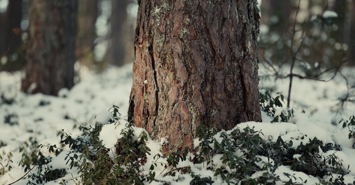 discover effective treatments and insights about frozen shoulder, a painful condition limiting shoulder movement. learn about causes, symptoms, and ways to regain mobility and alleviate discomfort for a better quality of life.