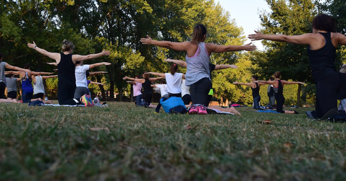 découvrez le pouvoir transformateur du yoga avec nos guides, techniques et conseils complets. que vous soyez débutant ou praticien expérimenté, explorez différents styles et pratiques qui améliorent la flexibilité, la force et la pleine conscience. Rejoignez-nous dans un voyage vers la paix intérieure et le bien-être à travers l'art du yoga.