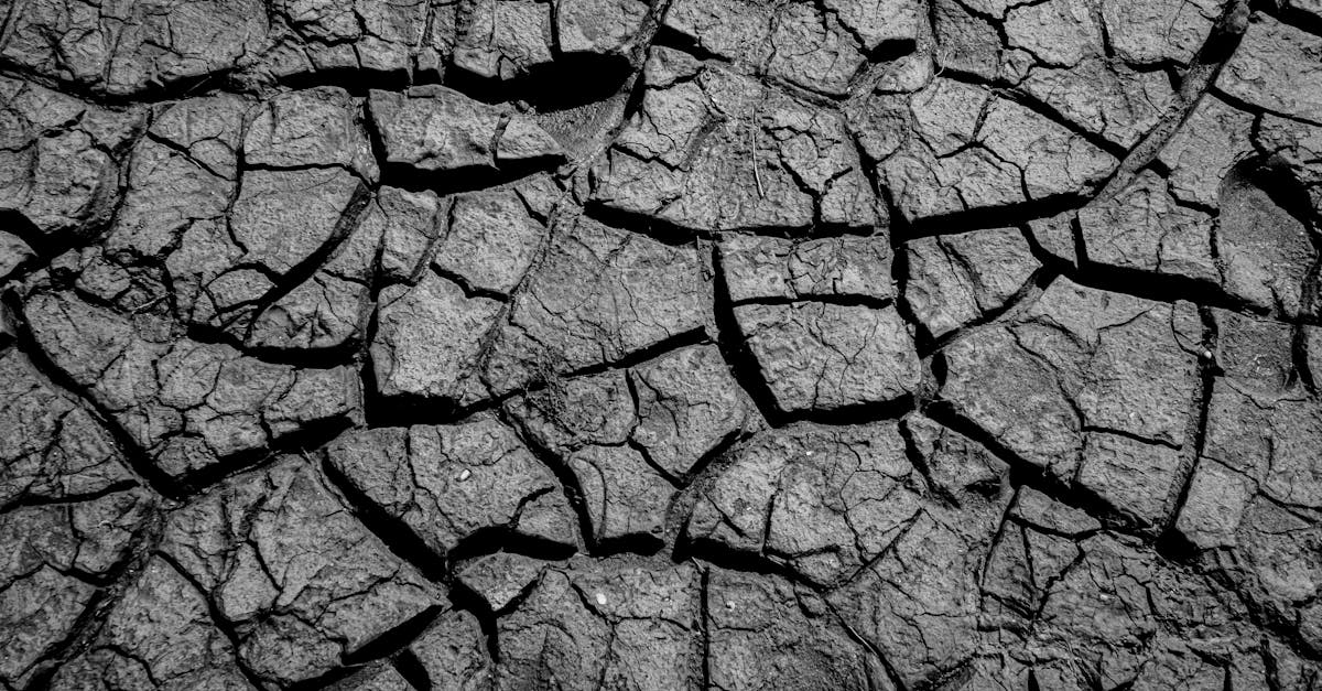 explore the causes, symptoms, and treatment of dehydration. learn how to recognize the signs of dehydration and discover effective ways to prevent and manage this critical condition.