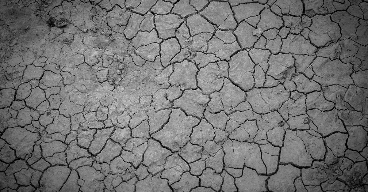 discover the causes, symptoms, and effects of dehydration. learn how to recognize the signs and stay hydrated for optimal health and well-being.
