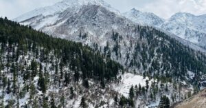 explore the causes, symptoms, and treatment options for frozen shoulder, a condition that leads to stiffness and pain in the shoulder joint. learn how to alleviate discomfort and regain mobility with expert tips and advice.