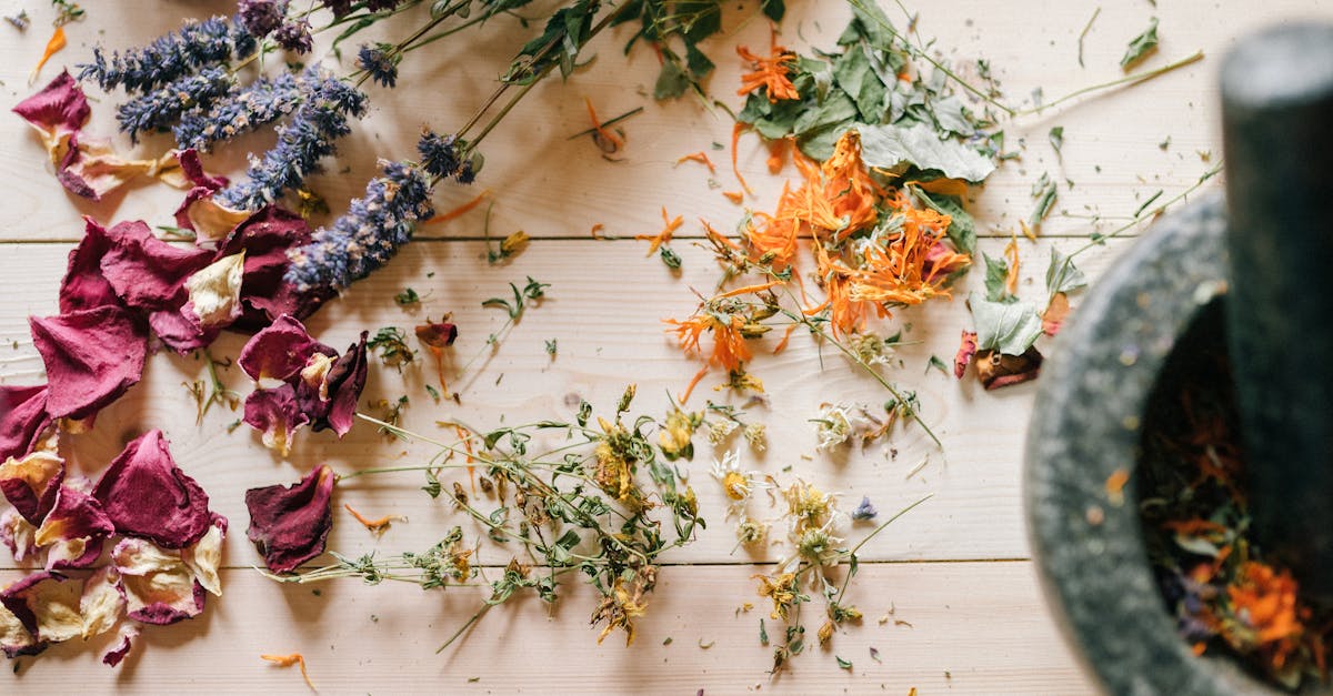 discover the power of holistic remedies to promote overall well-being. explore natural solutions that harmonize mind, body, and spirit for a healthier lifestyle.