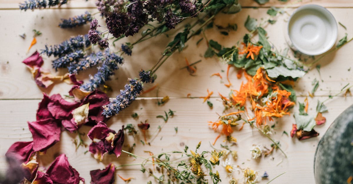 explore the power of holistic remedies for natural healing and wellness. discover herbal solutions, alternative therapies, and integrative practices to promote balance in mind, body, and spirit.