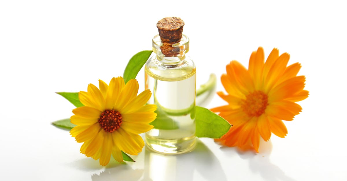 discover the power of holistic remedies for improved well-being and balance. explore natural treatments, herbal solutions, and alternative therapies that promote healing from within. transform your health journey with holistic approaches tailored to your unique needs.