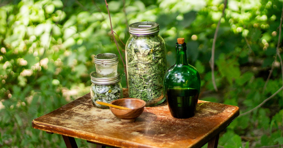 discover the power of holistic remedies for a balanced and healthy lifestyle. explore natural solutions that promote wellness, enhance vitality, and support overall well-being. unlock the secrets of nature's healing with our comprehensive guide.
