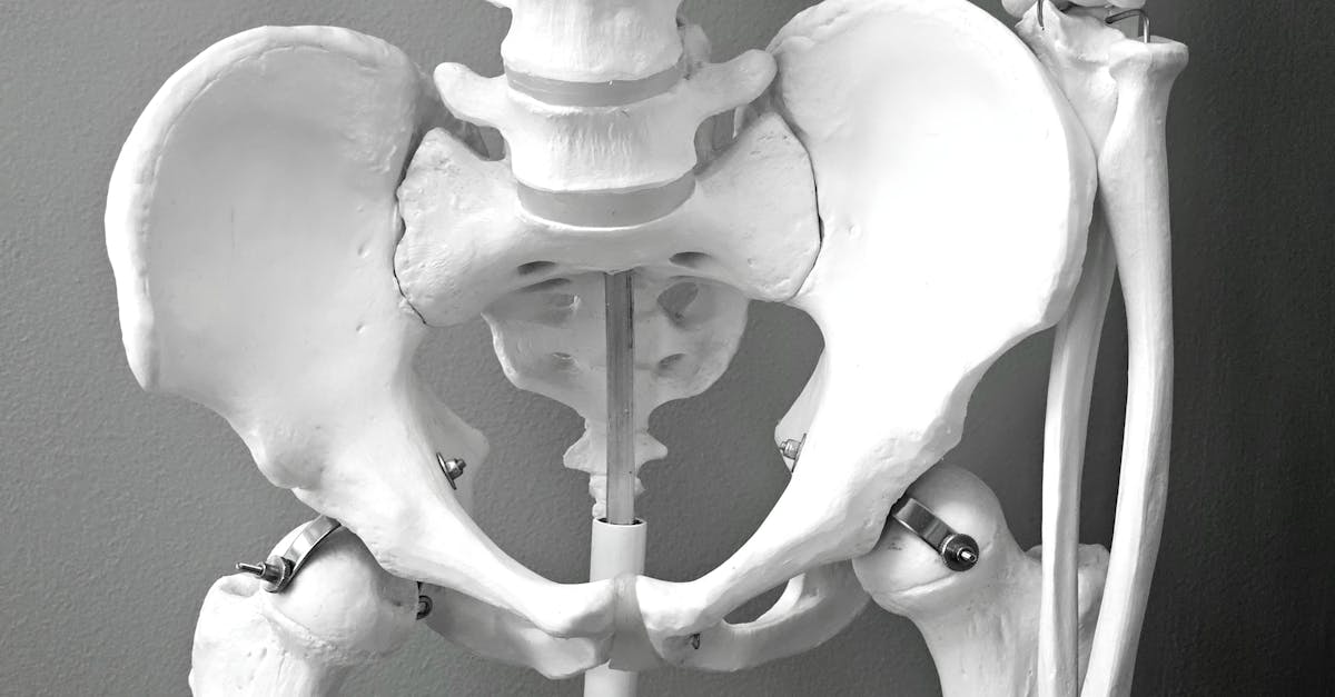 discover the benefits of pelvic tilts for improved posture and core strength. this simple exercise can enhance flexibility, relieve lower back pain, and support pelvic alignment. perfect for beginners and fitness enthusiasts alike!