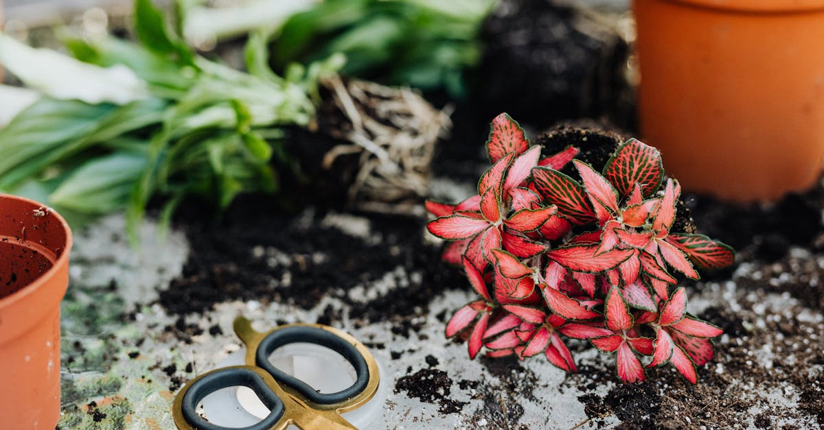 discover the causes, symptoms, and treatment options for a pinched nerve. learn how to relieve pain and regain mobility with effective strategies and expert advice.