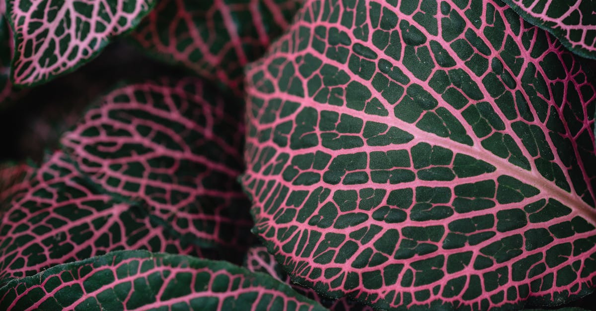 discover the causes, symptoms, and treatment options for a pinched nerve. learn how to alleviate discomfort and regain mobility with effective remedies and expert advice.