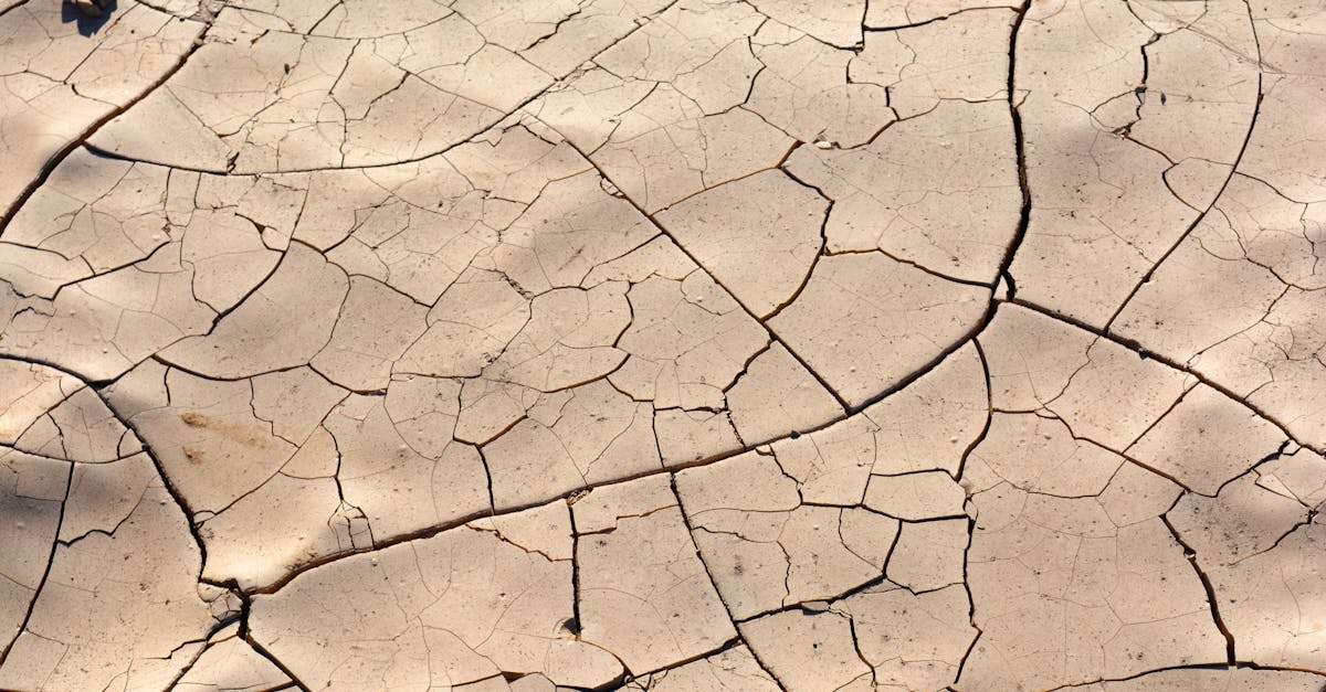 explore the causes, symptoms, and consequences of dehydration. learn effective prevention methods and how to stay hydrated for optimal health and wellness.