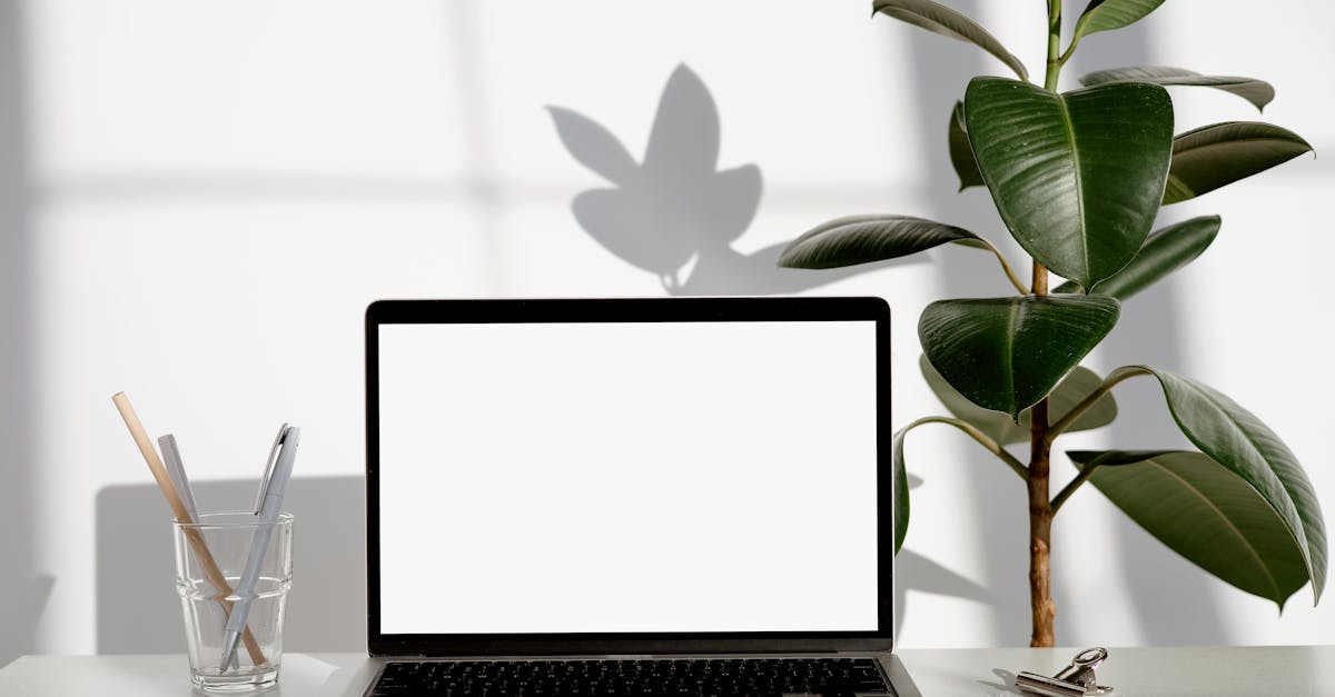 Dans notre monde moderne, maintenir une bonne posture est devenu de plus en plus difficile en raison de la sédentarité et du temps passé devant les écrans. Pulse Align propose une approche globale de l'amélioration de la posture, grâce à l'ergonomie et à des techniques douces visant un recalibrage holistique. Cet article explore comment Pulse Align simplifie la correction posturale et favorise des mouvements plus sains, pour une vie équilibrée et sans douleur.