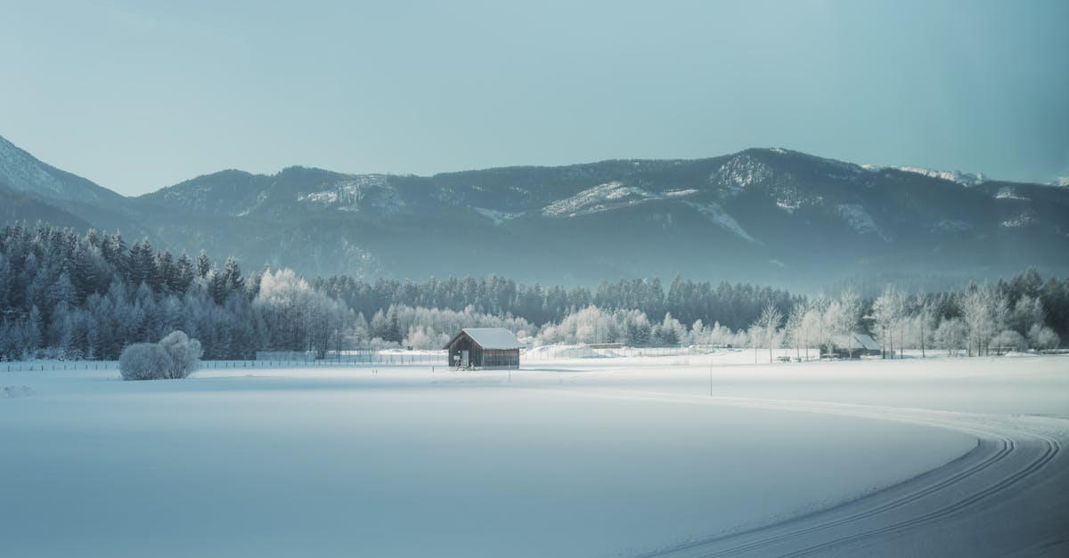 discover insights into frozen shoulder, its causes, symptoms, and effective treatment options to relieve pain and restore mobility. learn how to manage this common condition and improve your quality of life.