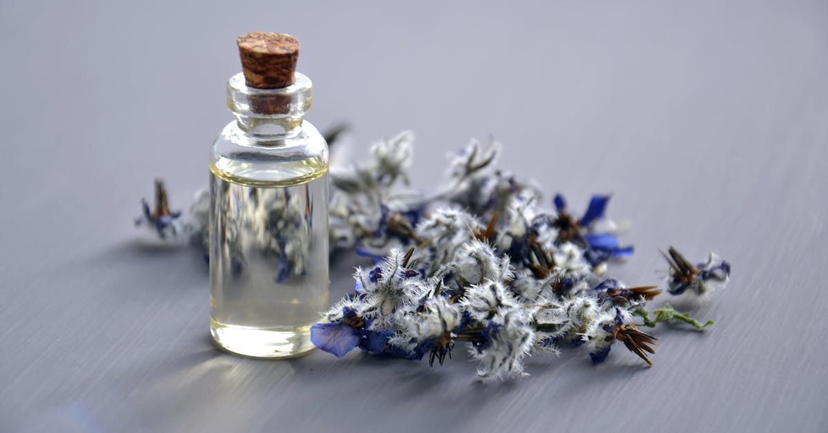 explore the transformative power of holistic approaches to health and wellness. discover how integrating mind, body, and spirit can lead to a balanced and fulfilling life.