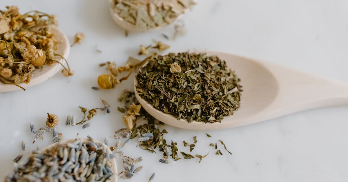 discover the power of natural remedies to enhance your health and well-being. explore effective herbal treatments, homeopathic solutions, and holistic practices that nurture your body and mind naturally.