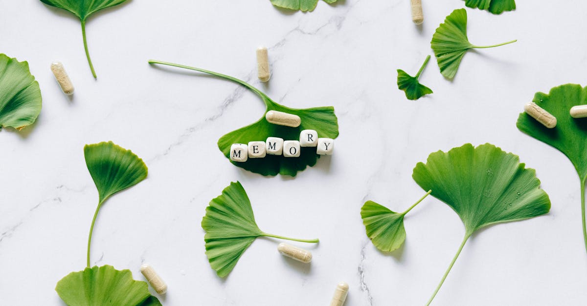 discover the power of natural remedies for holistic health and wellness. explore effective, safe, and sustainable alternatives to conventional medicine that can enhance your well-being and promote a healthier lifestyle.