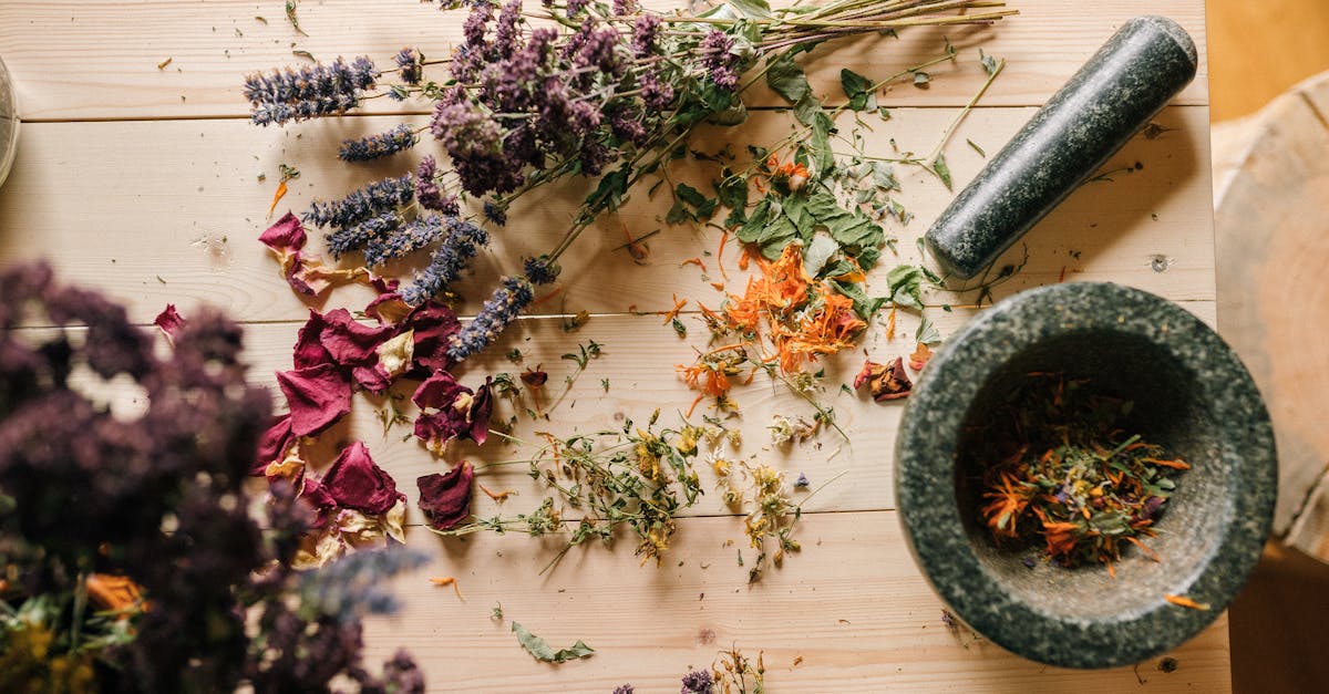 discover the healing power of natural remedies. explore a variety of effective, holistic solutions for common ailments using herbs, essential oils, and traditional practices. embrace wellness the natural way.