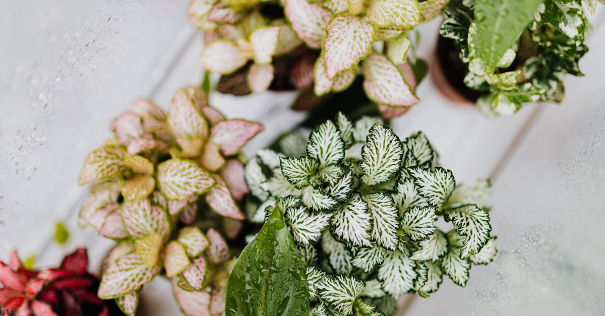 discover the causes, symptoms, and effective treatments for pinched nerves. learn how to alleviate pain and improve your quality of life with expert tips and insights.
