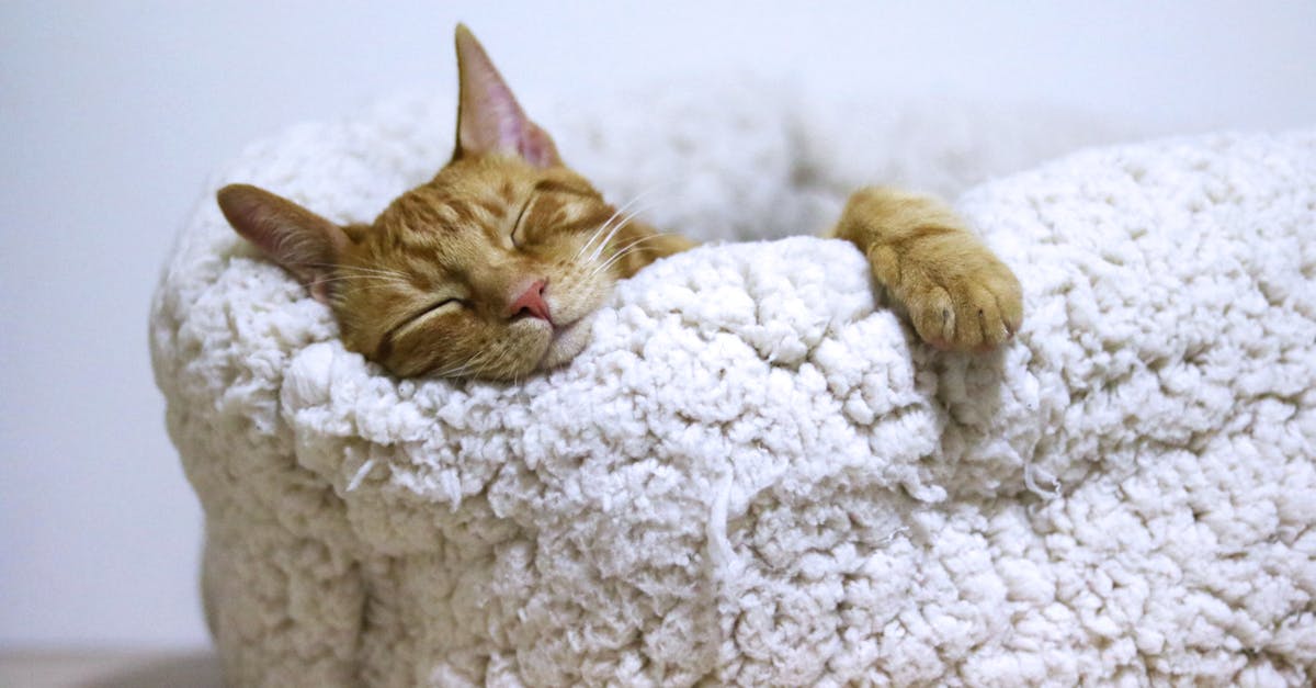 discover the importance of sleep for your health and well-being. learn tips and techniques to improve your sleep quality, understand sleep cycles, and explore the benefits of restful nights for a more energized life.