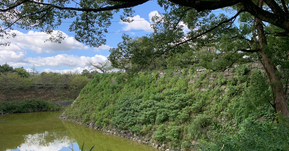 discover the essence of tranquility, where peace and serenity reign. explore calming practices, soothing environments, and mindful living that foster a sense of relaxation and harmony in your life.