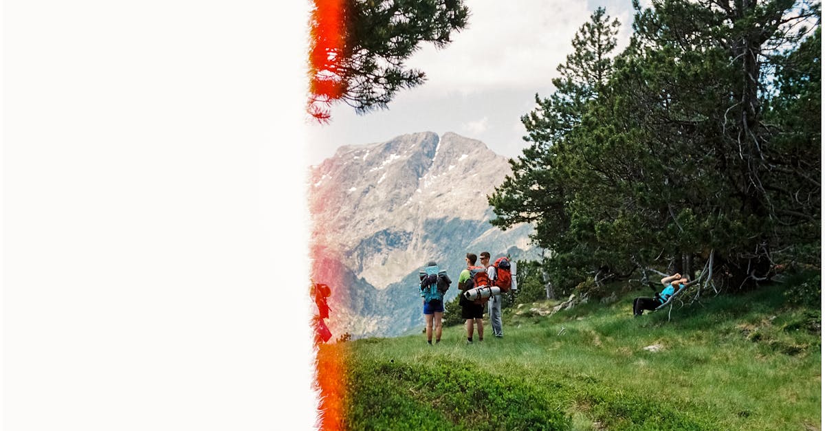 discover the ultimate ergonomic backpack designed for comfort and support. perfect for daily use, hiking, or travel, this backpack features adjustable straps, breathable materials, and ample storage space to keep your essentials organized. experience the perfect blend of style and functionality with our innovative ergonomic design.