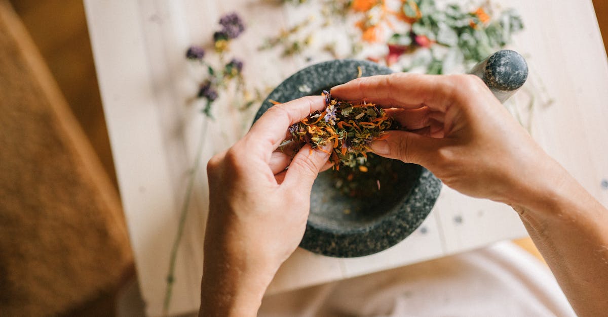 explore a comprehensive guide to natural remedies that promote holistic health and wellness. discover effective, time-tested solutions using herbal, homeopathic, and organic approaches to support your body's natural healing processes.