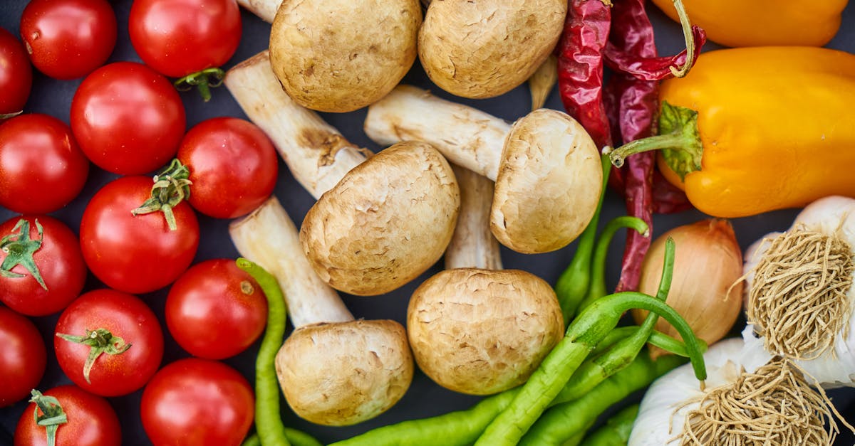 discover the essential principles of nutrition, including the importance of balanced diets, the role of vitamins and minerals, and how to maintain a healthy lifestyle through informed food choices.