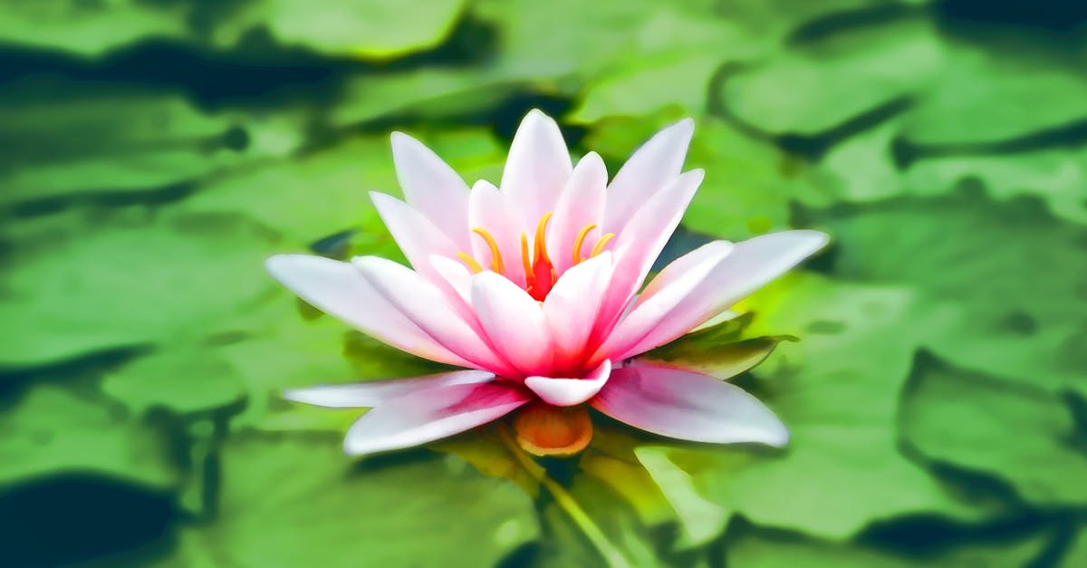 Découvrez les bienfaits de la méditation : soulagement du stress, amélioration de la concentration et bien-être. Apprenez des techniques de méditation faciles pour débutants et adoptez une routine quotidienne de pleine conscience.